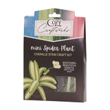 Mini Spider Plant Chenille Stem Craft Kit