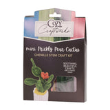Mini Prickly Pear Cactus Chenille Stem Craft Kit