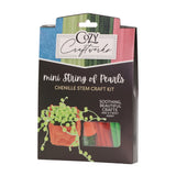 Mini  String of Pearls Chenille Stem Craft Kit
