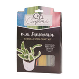 Mini Sansevieria Chenille Stem Craft Kit