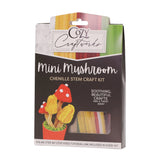 Mini Mushroom Chenille Stem Craft Kit