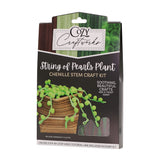 String of Pearls Plant Chenille Stem Craft Kit