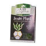 Snake Plant Chenille Stem Craft Kit