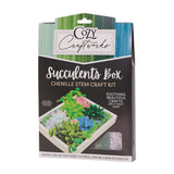 Succulent Box Chenille Stem Craft Kit